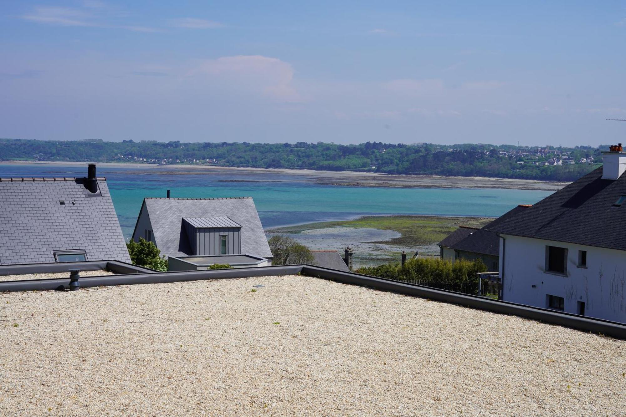 La Bernique Bleue De Vue